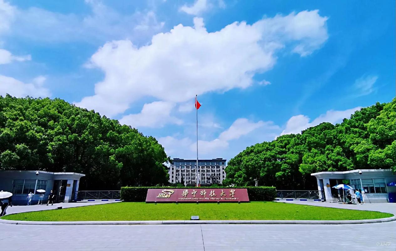 新C9大学名单里为什么没有华中科技大学？这事儿得从头捋捋