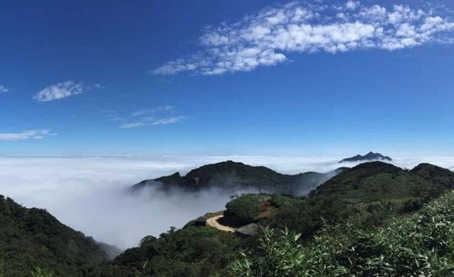 湖南莽山自驾旅游攻略，开进云雾里的原始森林，遇见会呼吸的山水