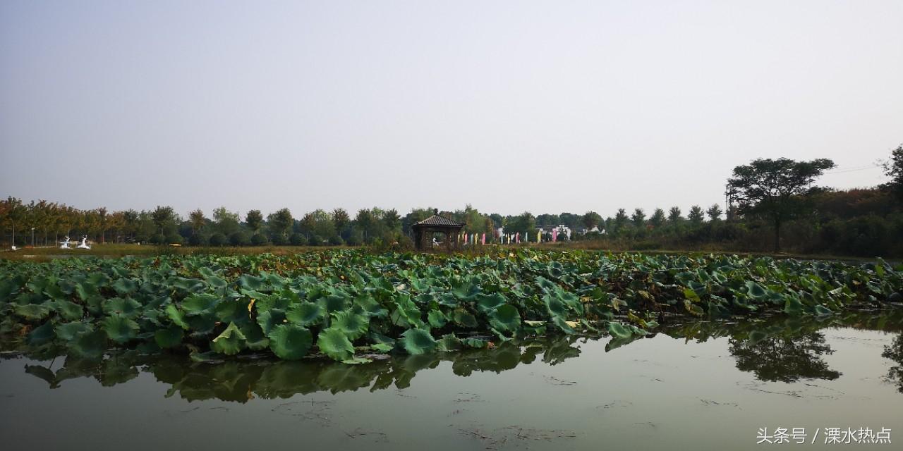 溧水体育公园,一个让你重新爱上运动的宝藏地方 溧水体育公园,一个让你重新爱上运动的宝藏地方