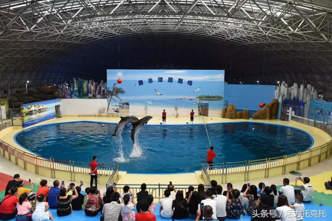 海游馆套票旅游攻略，一次省心又省钱的海洋之旅