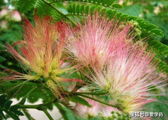 什么才叫健康？我花了好几年才弄明白这件事