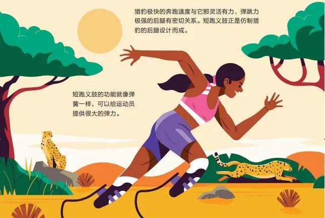 体育知识，不只是运动，更是生活的一门学问