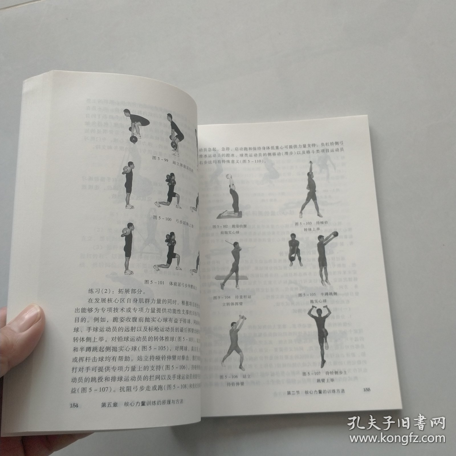 体育理论作业，一场身体与思想的漫长对话